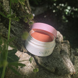 Look Bold Blush