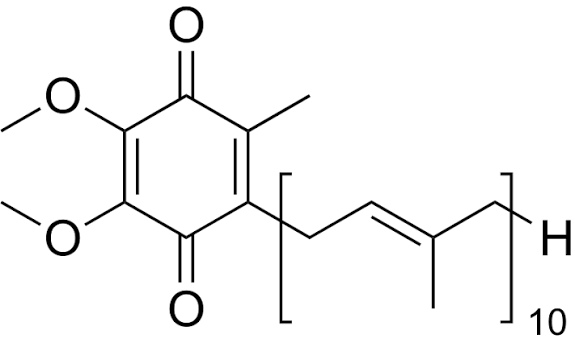 Illustration sur la coenzyme Q10 et les mitochondries
